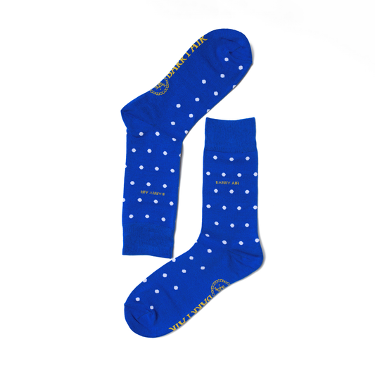 Blue Polka Dot Socks